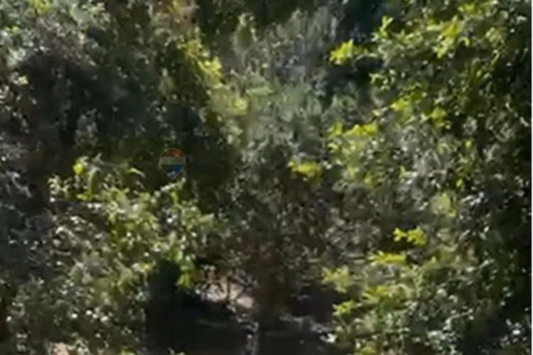 "tu refugio natural en curacaví" - Imagen 2