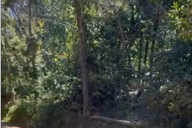 "tu refugio natural en curacaví" - Imagen 3