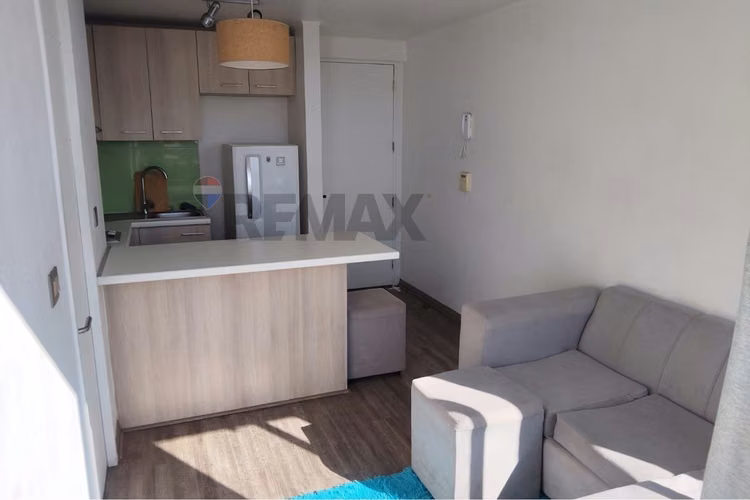 Invierte en 1d 1b con alta demanda de arriendo