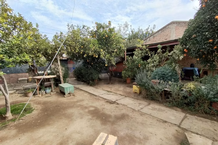 Se vende casa con amplio terreno macul