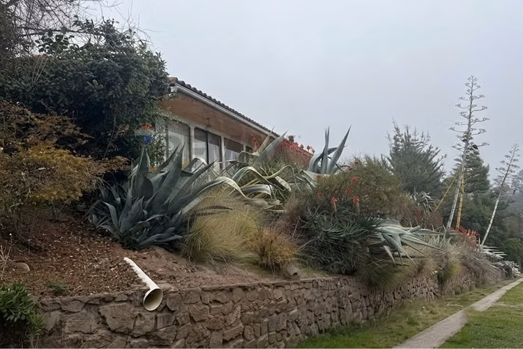 Tu nuevo oasis en paine - Imagen 13