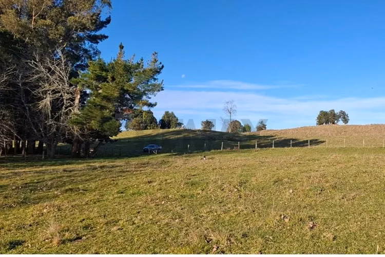 Parcela exclusiva en lago ranco