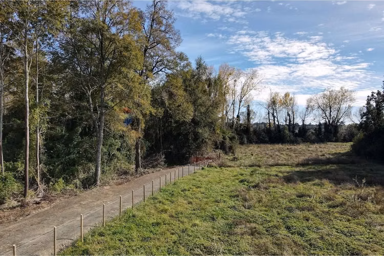 Parcela exclusiva en lago ranco