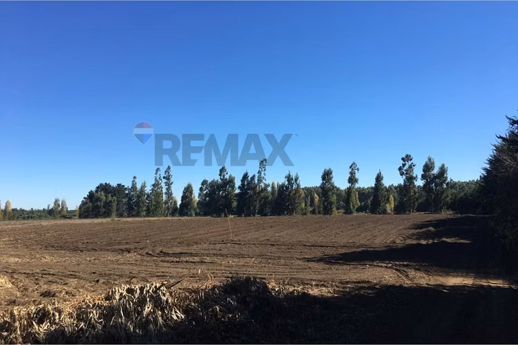 Gran oportunidad: campo agrícola en los ángeles