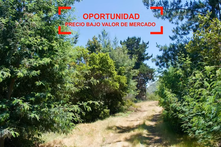 Gran oportunidad!!! … precio bajo valor de mercado