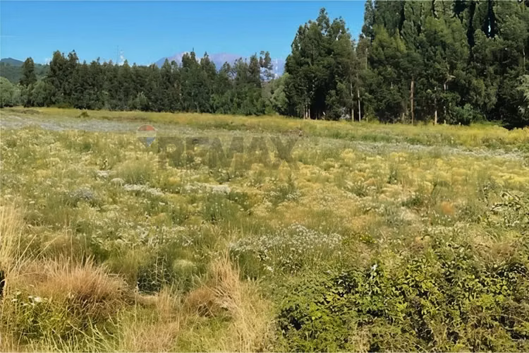 Terreno 10 ha a 700 mt cruce colbun - corralones.