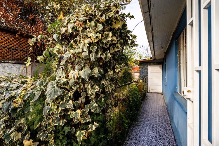 Casa a 10 min de metro quilín, rebajada - Imagen 22