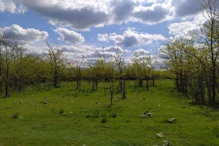 Parcela de agrado limay 7 min talca.