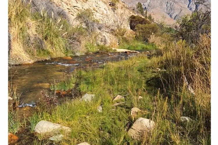 Bello entorno y acceso al rio