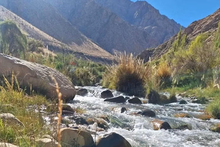 Bello entorno y acceso al rio
