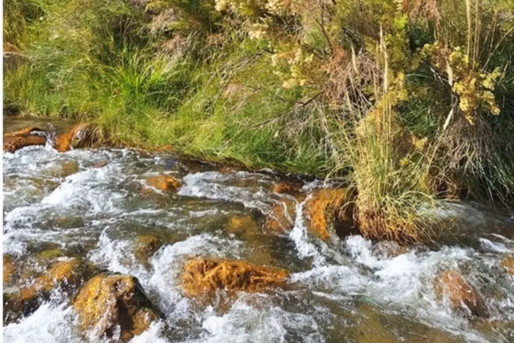 Bello entorno y acceso al rio