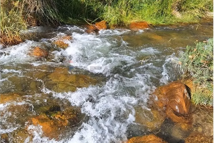 Bello entorno y acceso al rio