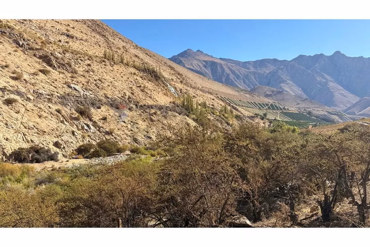 Bello entorno y acceso al rio
