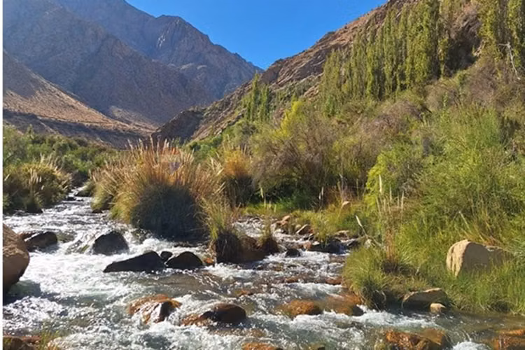 Bello entorno y acceso al rio