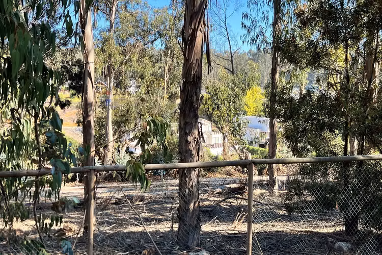 Oportunidad de terreno en costa quilen