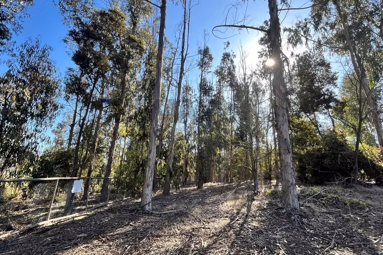 Oportunidad de terreno en costa quilen