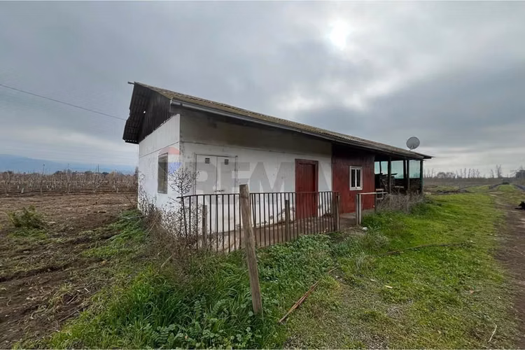 Se vende bodega de vinos de 730.000 lts. molina