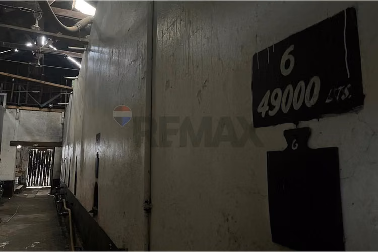 Se vende bodega de vinos de 730.000 lts. molina