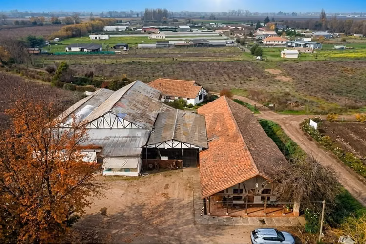 Se vende bodega de vinos de 730.000 lts. molina