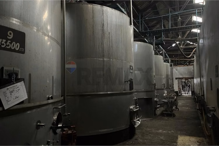 Se vende bodega de vinos de 730.000 lts. molina