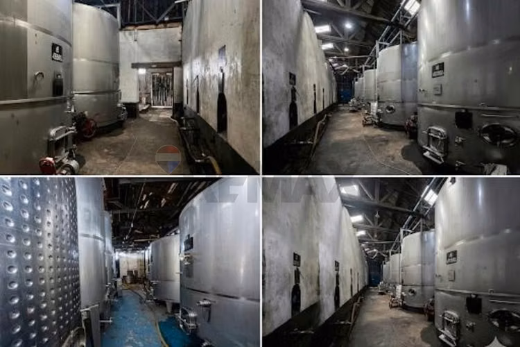 Se vende bodega de vinos de 730.000 lts. molina