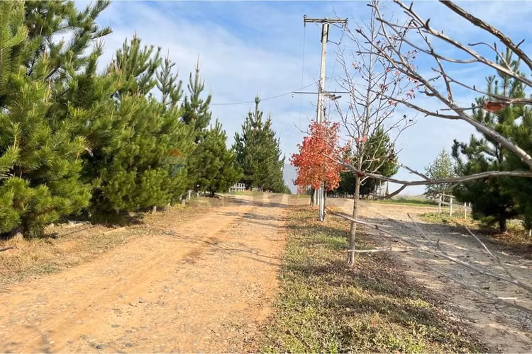 Se vende sitio 5000 m2 loteo haras de huiquilemu
