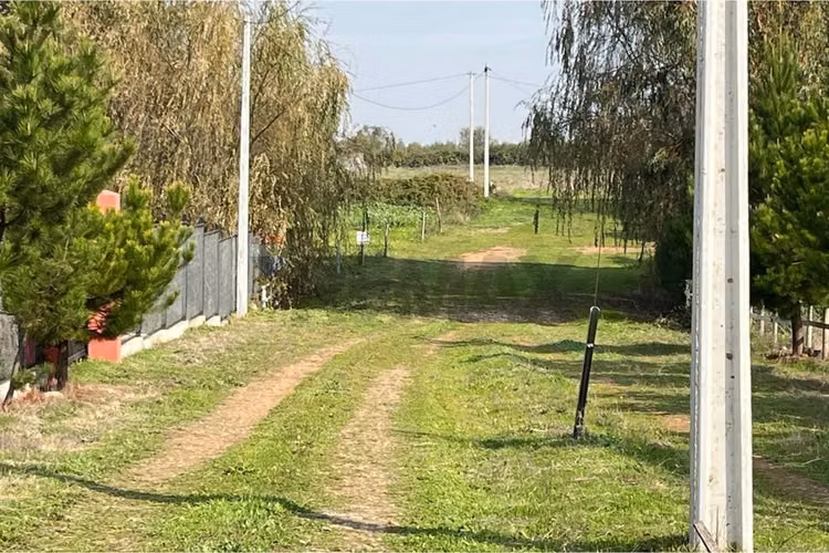 Se vende sitio 5000 m2 loteo haras de huiquilemu