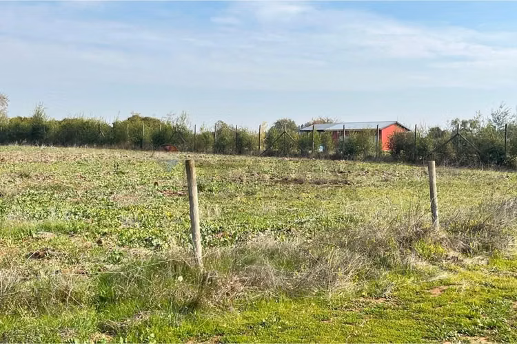 Se vende sitio 5000 m2 loteo haras de huiquilemu
