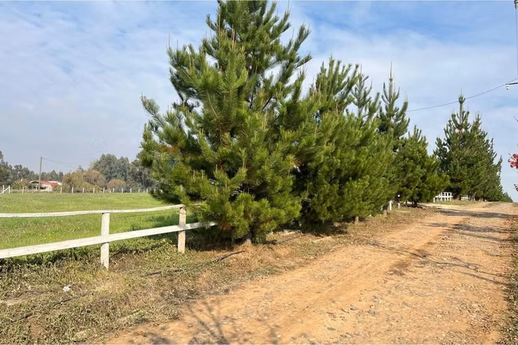Se vende sitio 5000 m2 loteo haras de huiquilemu