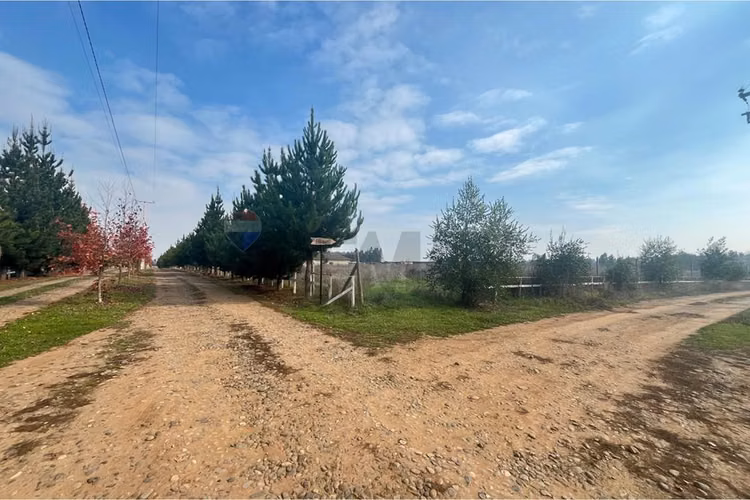 Se vende sitio 5000 m2 loteo haras de huiquilemu