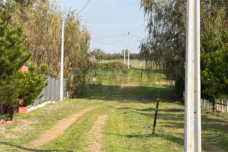 Se vende sitio 5000 m2 loteo haras de huiquilemu