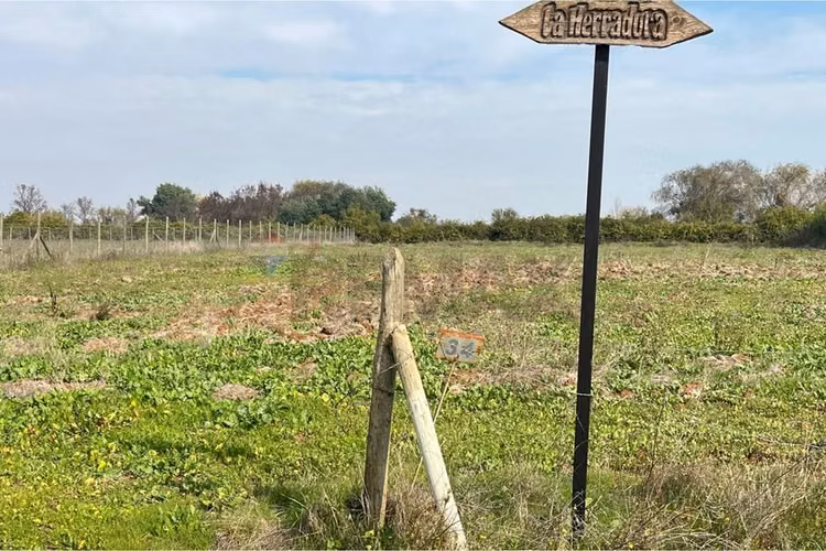 Se vende sitio 5000 m2 loteo haras de huiquilemu