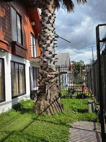 Oportunidad de Inversión en Barrio Tranquilo (178041)