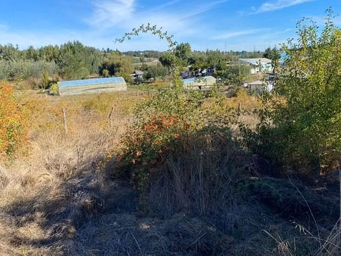 PARCELA  11000M2 CON CASA,  YUMBEL - Imagen 10