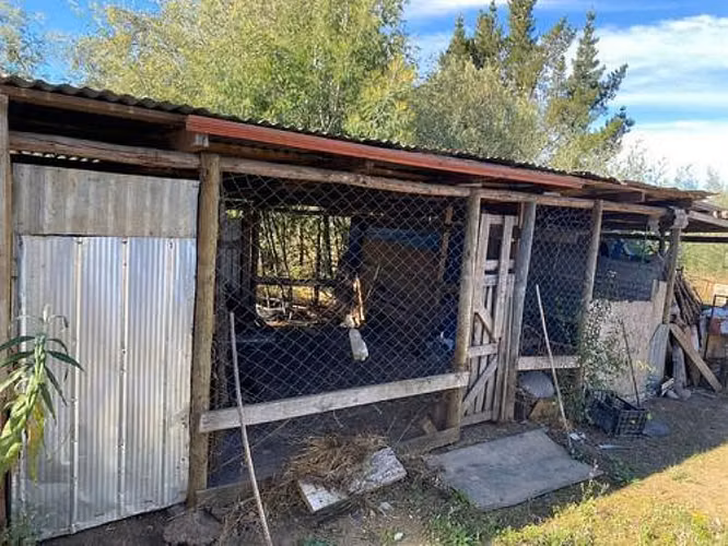 PARCELA  11000M2 CON CASA,  YUMBEL - Imagen 3