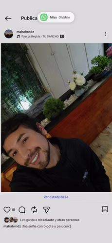 Sin profesión