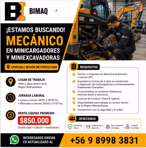 Mecánico Minicargadores-Miniescavadoras