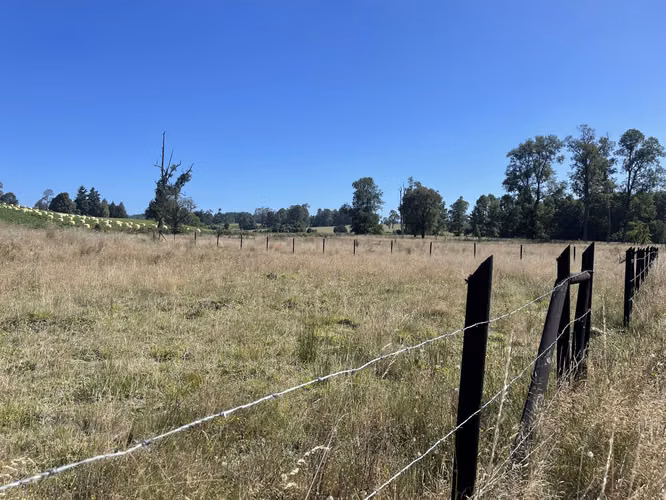 Se vende parcela de 5.000 m2 Fundo los troncos, sector Llico