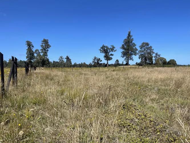 Se vende parcela de 5.000 m2 Fundo los troncos, sector Llico
