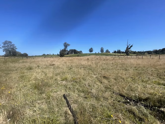 Se vende parcela de 5.000 m2 Fundo los troncos, sector Llico