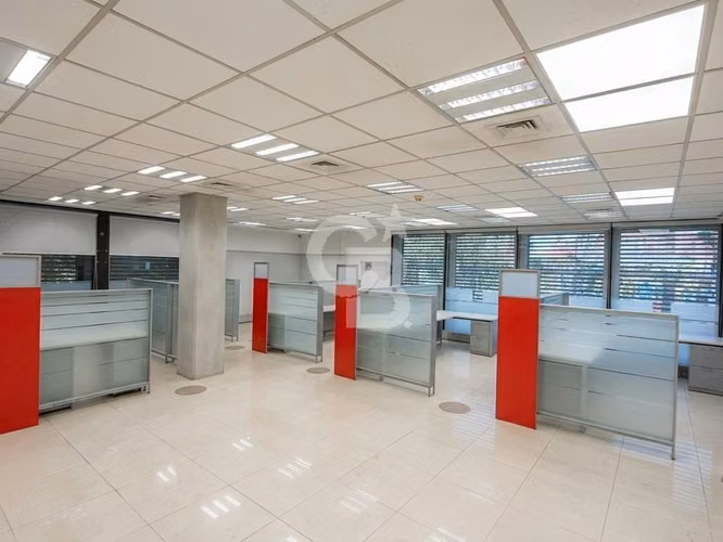 Local comercial, planta libre, Vicuña Mackenna