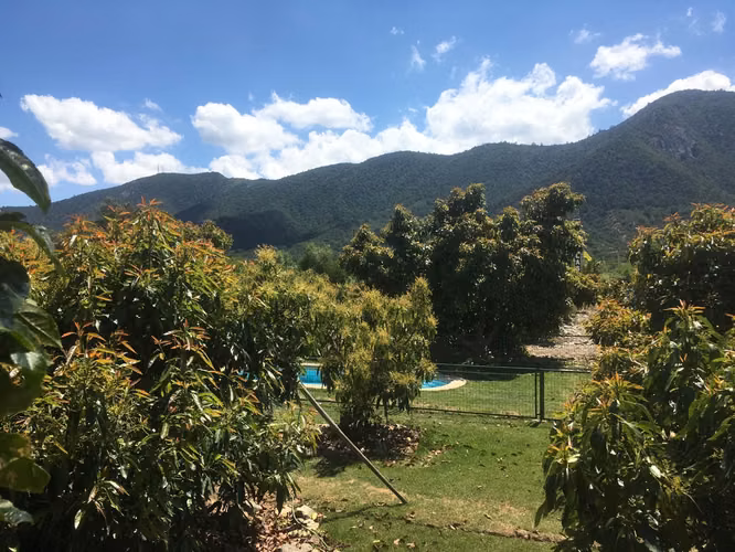 En Venta o Arriendo: Exclusiva Parcela de 5.500 m² en Condominio Los Paltos, Olmué