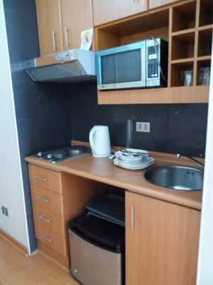 Departamento Bellas Artes, amoblado, un ambiente - Imagen 6