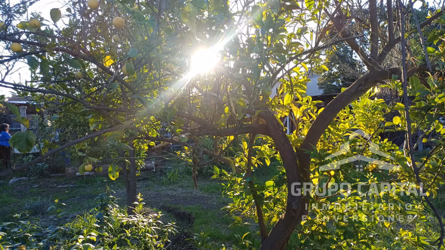Se Vende Casa Quinta en Pleno Centro de Quillota - Imagen 14