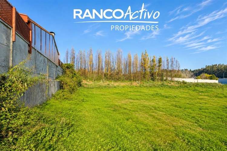 Terreno 3.196 m2 para desarrollo inmobiliario en Penco