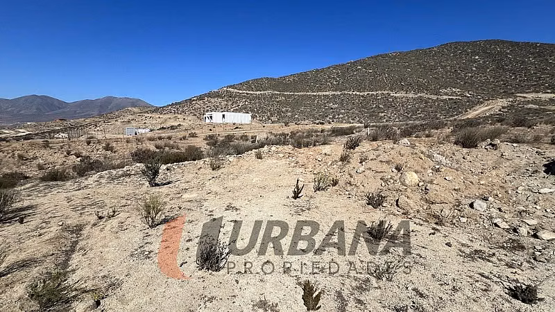 Parcela PARCELA EN GRAN TERRA ELQUI
