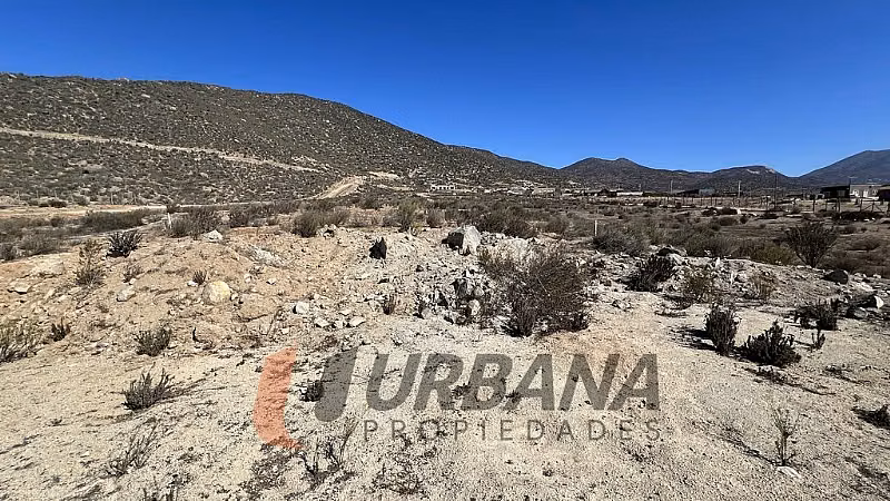 Parcela PARCELA EN GRAN TERRA ELQUI