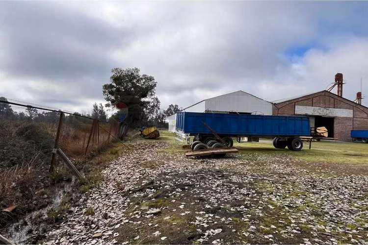 Venta 1.6 ha. bod y oficinas, km 288 ruta 5 sur