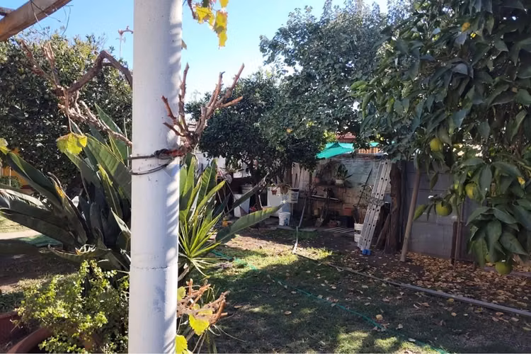 ¡tu hogar ideal en el bosque, santiago te espera!