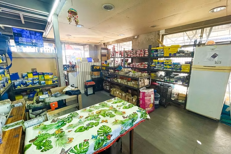 Propiedad comercial esquina con alto flujo